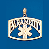 14kt Gold Paramedic Caduceus Pendant