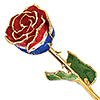 Lacquer Dipped Gold Trim Liberty Rose