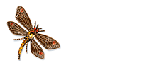 1928 Brooches