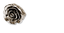 1928 Rings