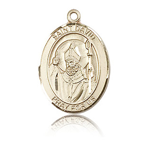 14kt Yellow Gold 3/4in St David Medal