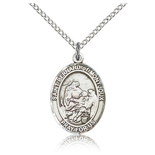 Sterling Silver 3/4in St Bernard Medal & 18in Chain