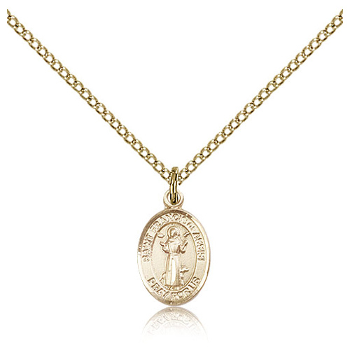 Gold Filled 1/2in St Francis Charm & 18in Chain