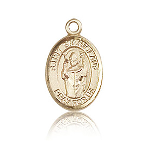 14kt Yellow Gold 1/2in St Stanislaus Charm