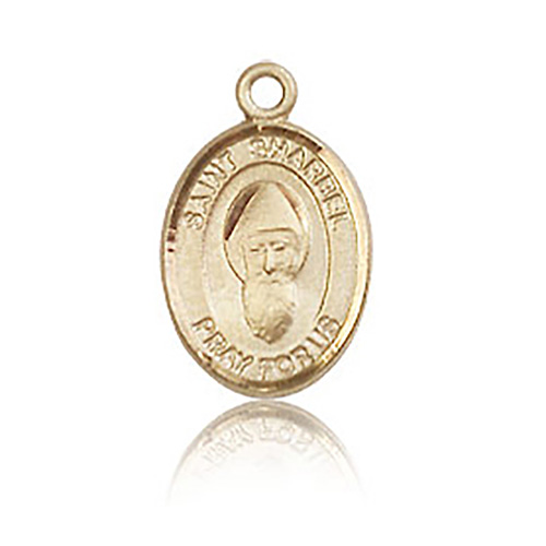 14kt Yellow Gold 1/2in St Sharbel Charm