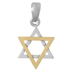 Sterling Silver and 14kt Yellow Gold Star of David Pendant