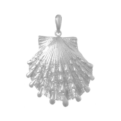 Sterling Silver 1 1/4in Lion's Paw Shell Pendant