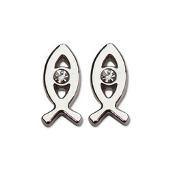 Stainless Steel 3/8in CZ Fish Earrings