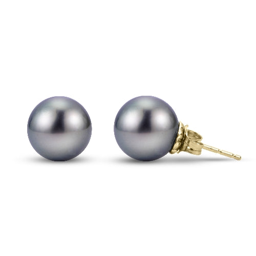 14k Yellow Gold 9mm Tahitian Pearl Stud Earrings AA Quality