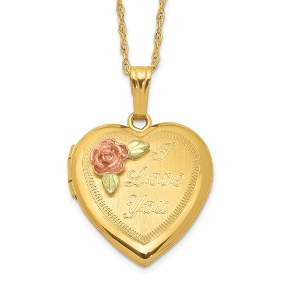 14k Gold-Filled with 12k Black Hills Gold Heart Locket