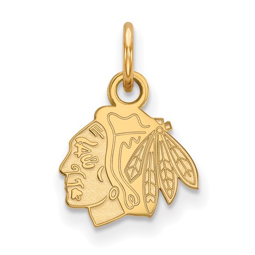 10k Yellow Gold Chicago Blackhawks Charm 3/8in