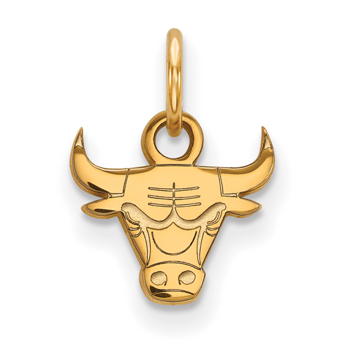 10k Yellow Gold Extra Small Chicago Bulls Logo Pendant
