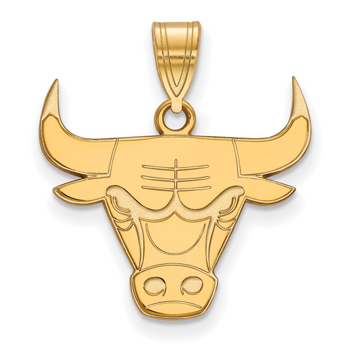 14k Yellow Gold 5/8in Chicago Bulls Logo Pendant