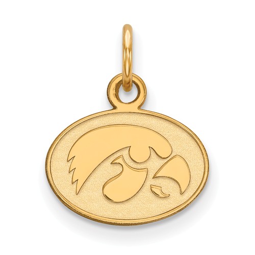 University of Iowa Oval Charm 3/8in 10k Yellow Gold