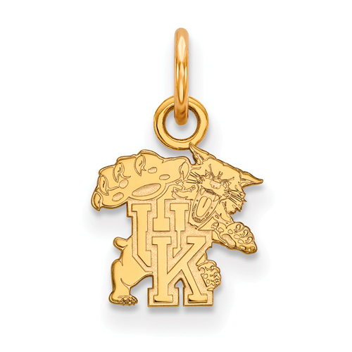 10kt Yellow Gold 3/8in University of Kentucky Wildcat Charm