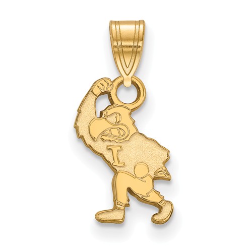 University of Iowa Herky the Hawk Charm 1/2in 14k Yellow Gold