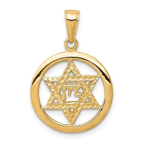 14kt Gold 11/16in Jewish Chai in Star of David Pendant