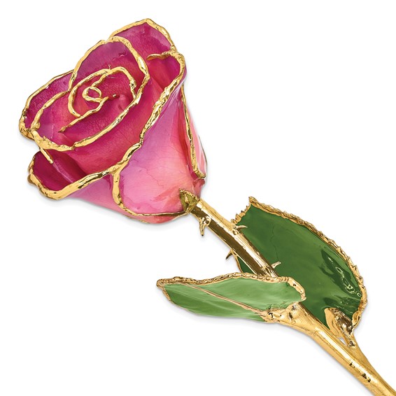 Lacquer Dipped Gold Trim Pink Picasso Rose
