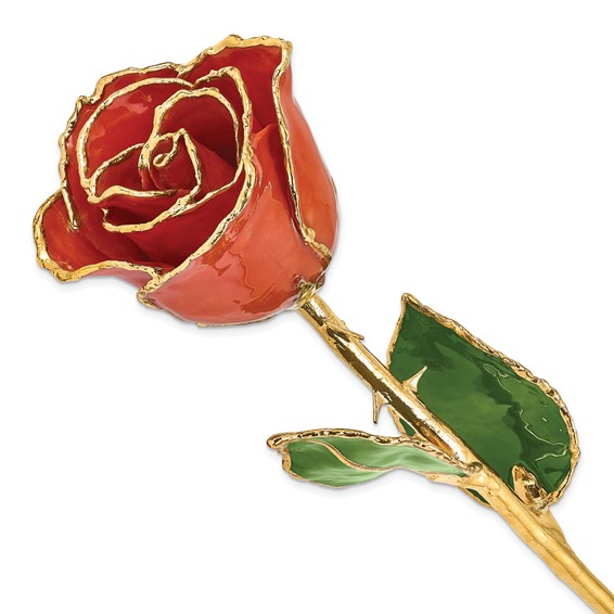 Lacquer Dipped Gold Trim Sonia Pearl Rose