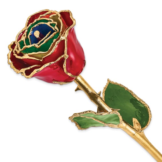 Lacquer Dipped Gold Trim Gypsy Rainbow Rose