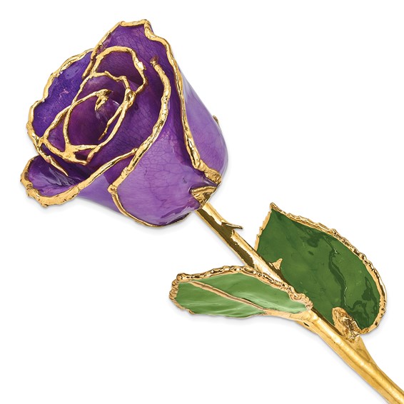 Lacquer Dipped Gold Trim Lilac Rose