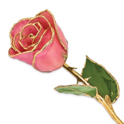 Lacquer Dipped Gold Trim Pink Rose