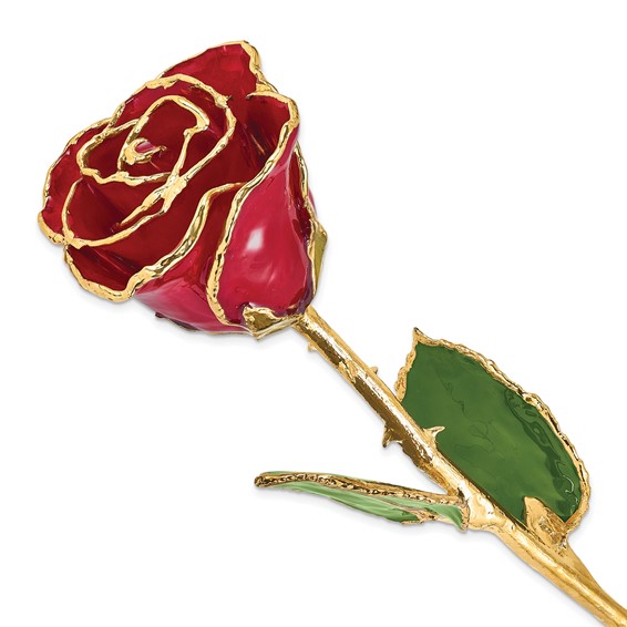 Lacquer Dipped Gold Trim Red Rose