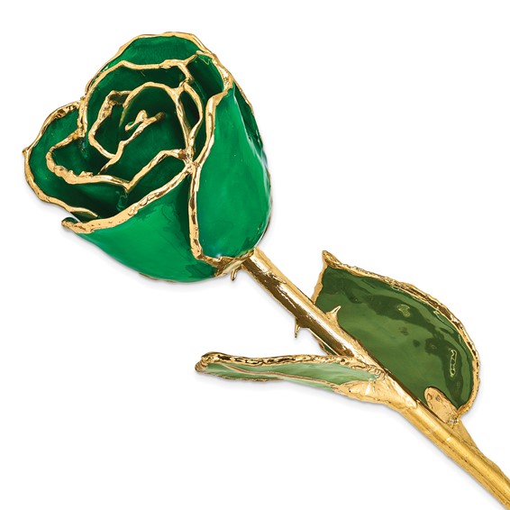 Lacquer Dipped Gold Trim Green Rose