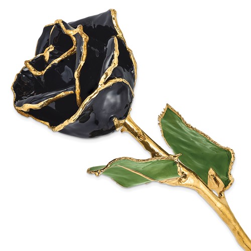 Lacquer Dipped Gold Trim Black Rose