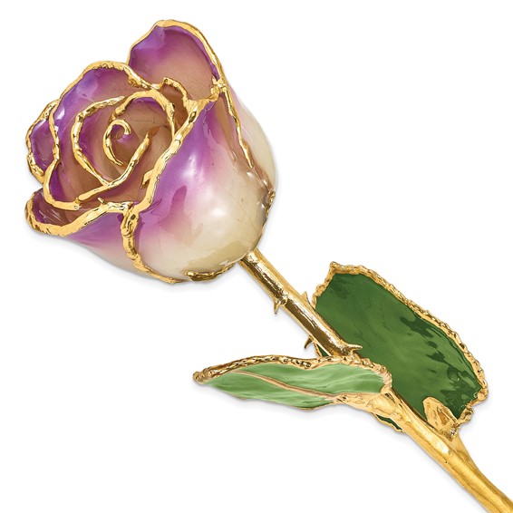 Lacquer Dipped Gold Trim Amethyst Rose GP9348 | Joy Jewelers