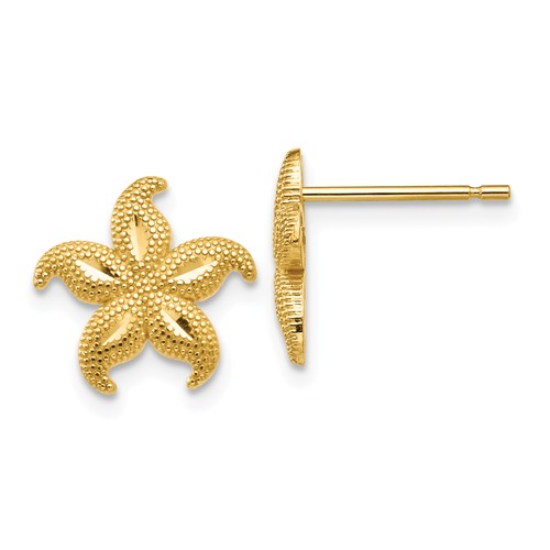 14k Yellow Gold Classic Starfish Earrings with Textured Finish