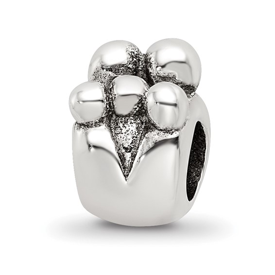 Sterling Silver Reflections Family of 5 Bead