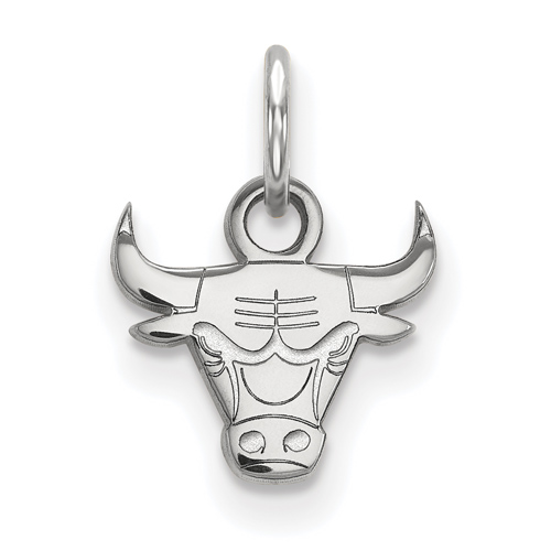 14k White Gold Extra Small Chicago Bulls Logo Pendant