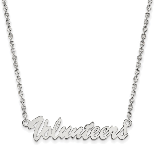 Sterling Silver Volunteers Pendant with 18in Chain