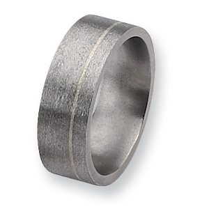 Titanium and Sterling Inlay Satin 8mm Band