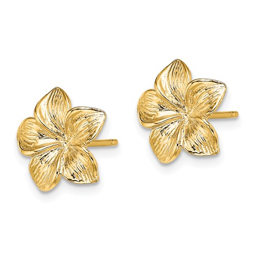 14k Yellow Gold Plumeria Textured Post Earrings