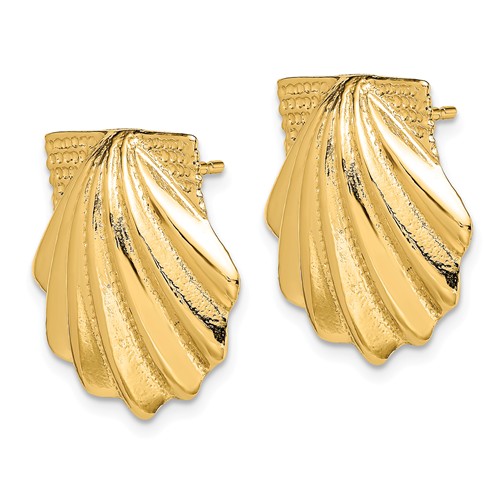 14k Yellow Gold Grooved Scallop Shell Earrings