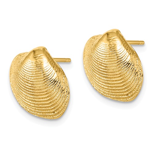 14k Yellow Gold Small Clam Shell Earrings