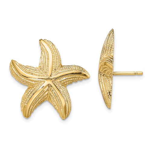 14k Yellow Gold Ridged Starfish Earrings 3/4in
