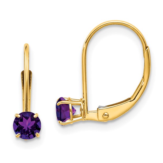 14k Yellow Gold 0.46 ct tw Amethyst Leverback Earrings - AA Quality