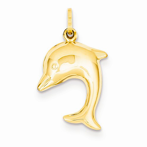 14kt Yellow Gold 3/4in Hollow Dolphin Charm