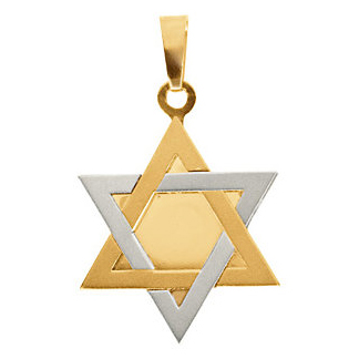 14kt Two-tone Gold 21x15mm Star of David Charm