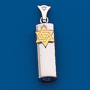 Toller 925 Silber Anhänger Mit Amazonenstein An Kette