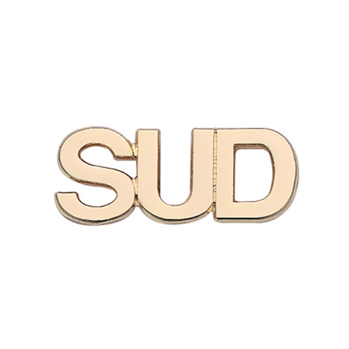 Santos de los Ultimos Dias Pin