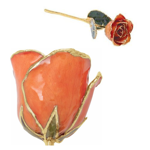 Lacquered Orange Rose With Gold Trim