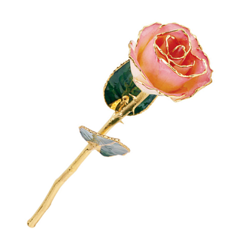 Lacquered Cream Rose With Gold Trim