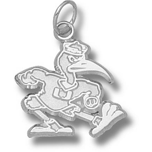 Miami Hurricanes 5/8in Sterling Silver Ibis Pendant