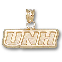 14kt Yellow Gold 1/4in UNH Pendant