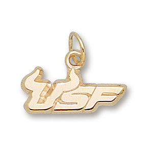 10kt Yellow Gold 1/4in USF Pendant