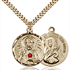 Gold Filled 7/8in Scapular Pendant with 3mm Ruby Bead & 24in Chain